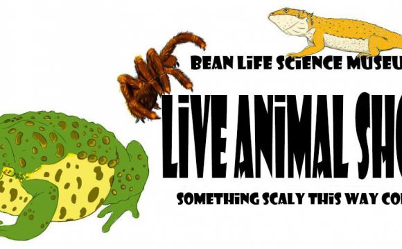 Request a Live Animal Show!