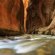Best of Zion National Park