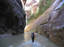 hiking the narrows in zion national park