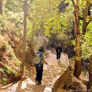Riverside Walk (15 Best Zion National Park Hikes).
