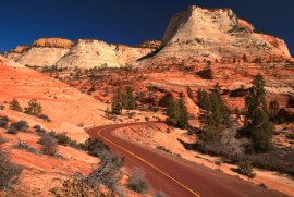 road winding through red rocks