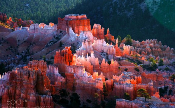 Zion National Park VS Bryce Canyon