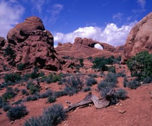 There are more than 2, 000 rock arches in Arches National Park.