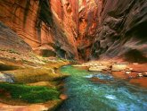 National Parks Zion