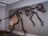 Price Utah Dinosaur Museum