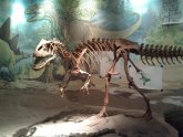 Utah Dinosaur Museum