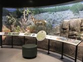 Utah Natural History Museum hours