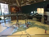 Vernal Utah Dinosaur Museum