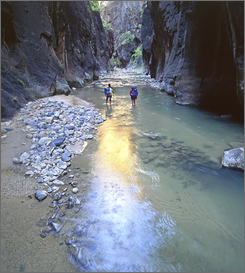 Two hikers go for a stroll in the Zion Narrows in Zion National Park in Utah.