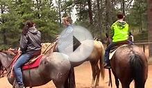 Horseback Ride into Bryce Canyon National Park Utah