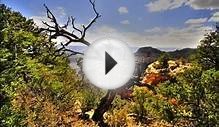 US National Parks- Zion, Bryce, Grand Canyon, Route 66