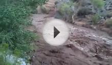 Video: Flash flood near Virgin Utah & Zion National Park