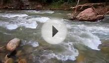Zion National Park - Virgin River near Riverwalk