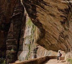 Weeping Rock (15 Best Hikes in Zion National Park Utah).