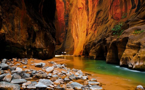 Zion National Park National Geographic